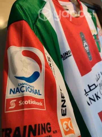 Palestino Oficial - Imagen 3
