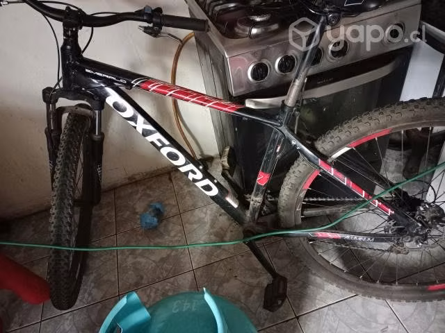 Bici y galon