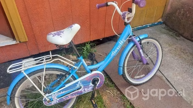 Bicicleta