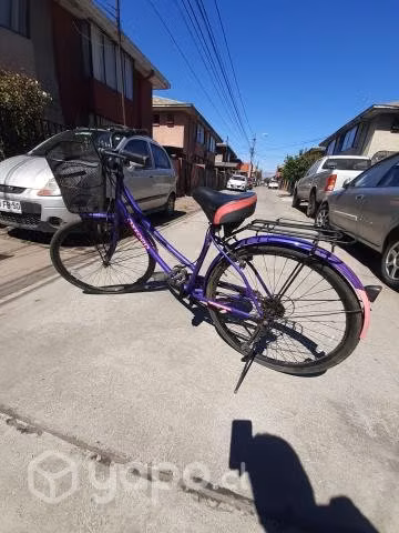 Bicicletas