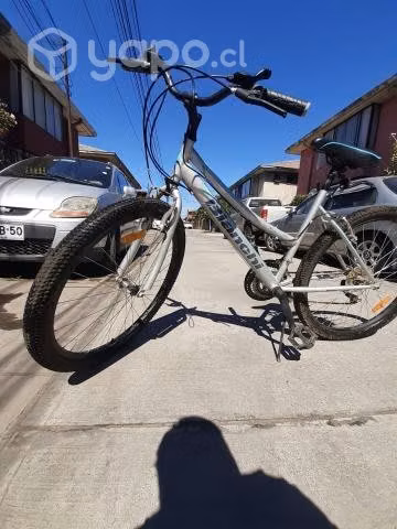 Bicicletas