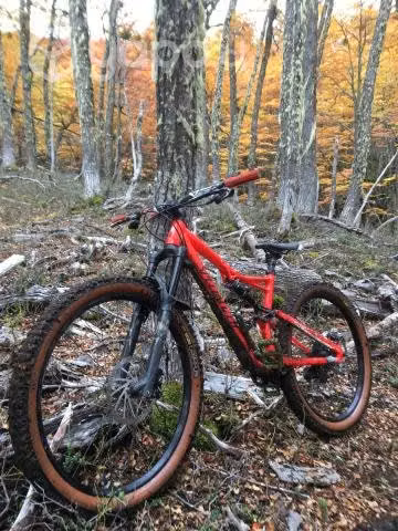 Specialized stumpjamper 2017