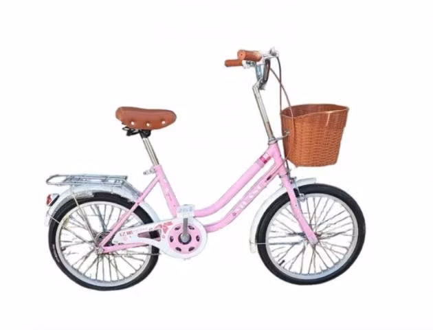 Bicicleta Niña Tipo Vintage Aprendizaje Aro 20