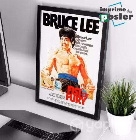 CUADRO DE BRUCE LEE 34x45cm llegar y colgar
