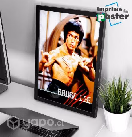 CUADRO DE BRUCE LEE 34x45cm llegar y colgar