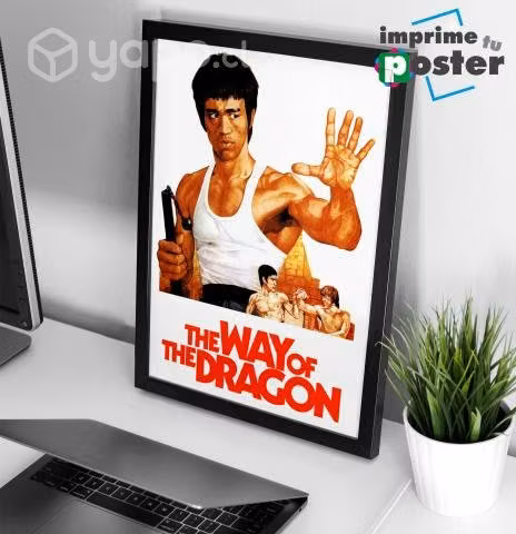 CUADRO DE BRUCE LEE 34x45cm llegar y colgar