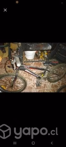 bicicletas