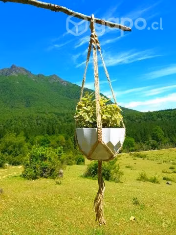 Colgante Para Planta "F"
