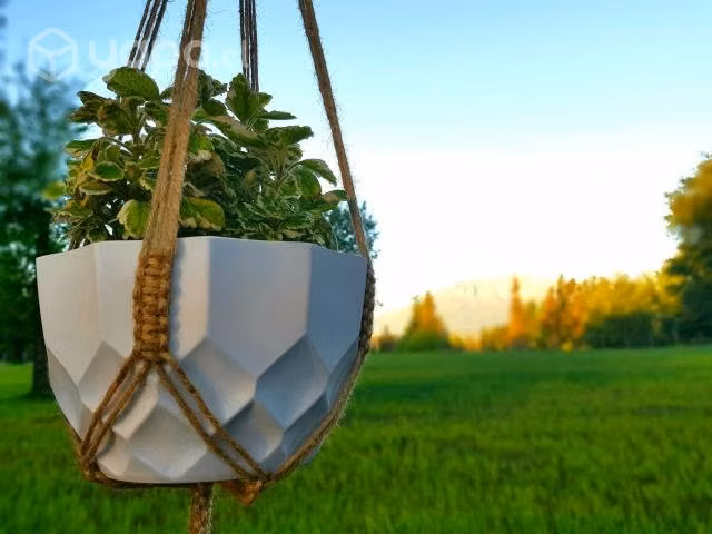 Colgante para Planta "H"