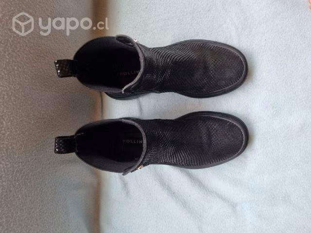Pollini 37