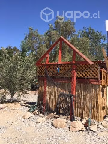 C0ntrol madera podrida