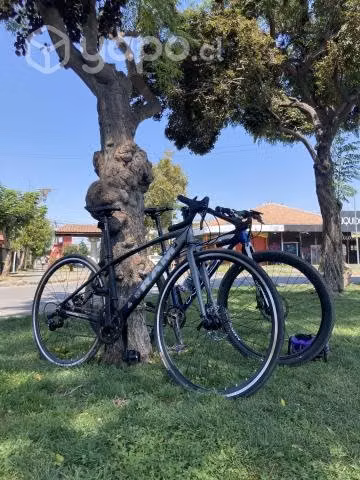 Rutera Ram Full Shimano - Imagen 5