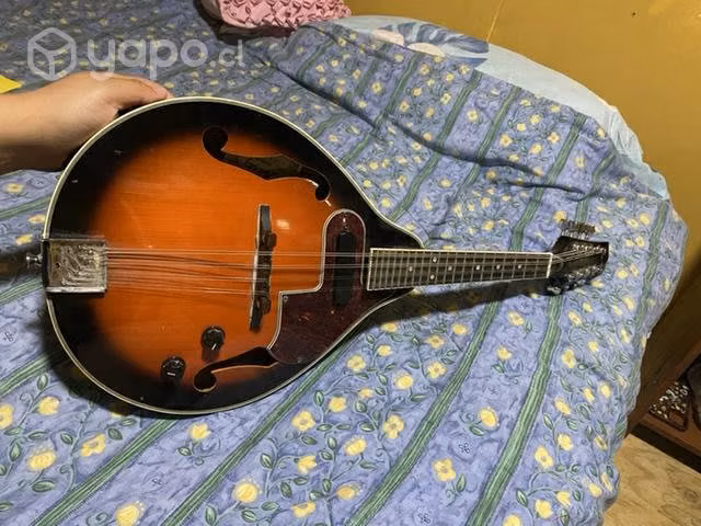 Mandolina ibanez