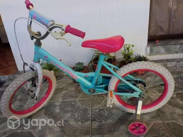 Bicicleta