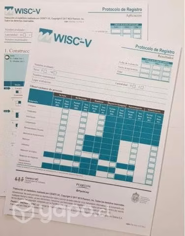 Protocolos Originales WISC V+ correcciones