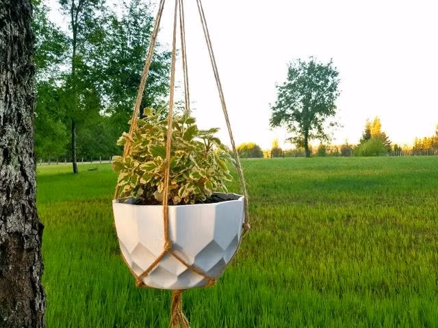 Colgante Para Planta "A"