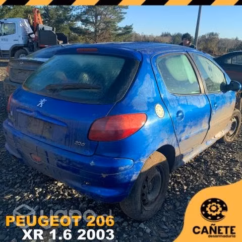 EGR Peugeot 206 XR 1.6 2003