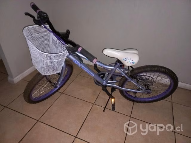 Bicicleta Rin 20 niña