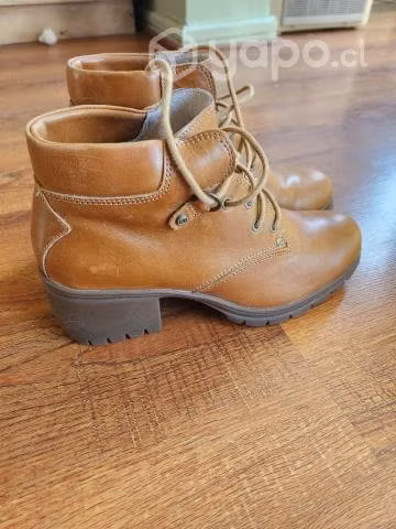 Zapatos cafe cat - Imagen 2