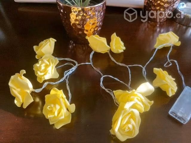 Guirnalda de luces modelo rosas