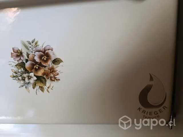 Cocina a leña krieger