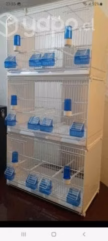 Jaulas Profesional para Cria