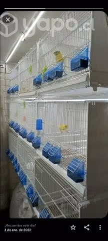 Jaulas Profesional para Cria