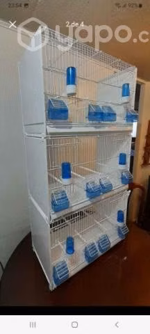 Jaulas Profesional para Cria