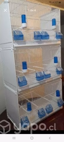 Jaulas Profesional para Cria