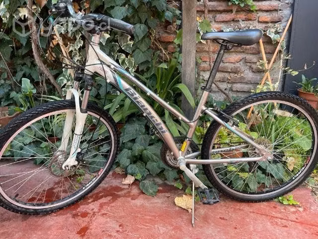 Bicicleta Bianchi Classic 26SX (Aro 26)