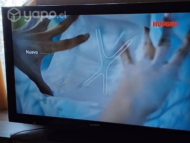 Televisor