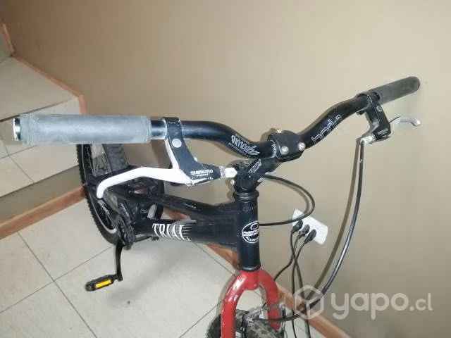 Bicicleta aro 20 - Imagen 3