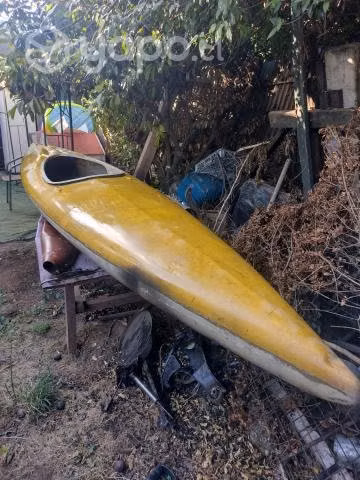 Kayak