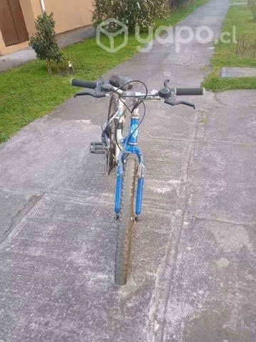 Bicicleta Bianchi Aro 24