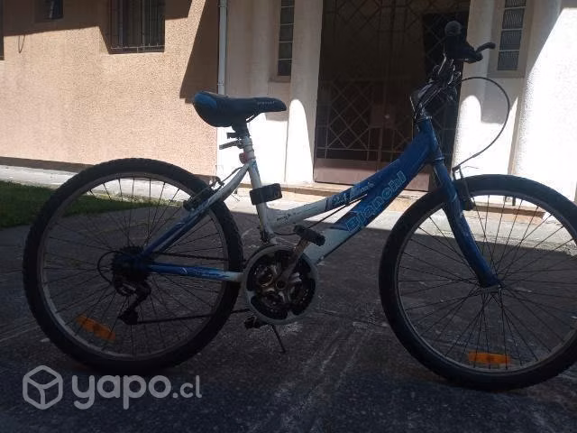 Bicicleta Bianchi Aro 24
