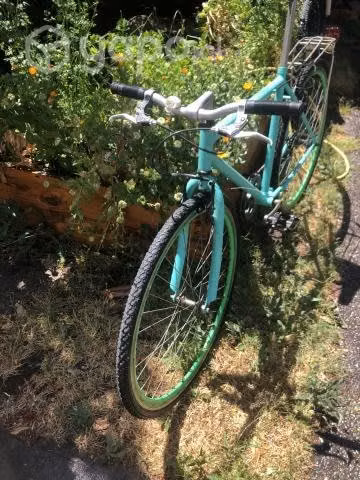 Bicicleta single speed talla 48 - Imagen 2