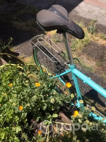Bicicleta single speed talla 48 - Imagen 3
