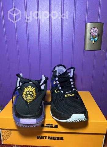 Lebron witness 7