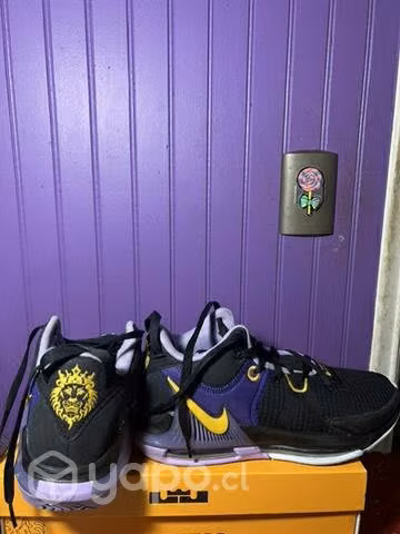 Lebron witness 7