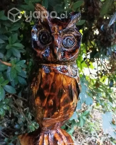 Tallado en madera-búho