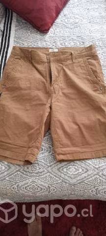 Bermudas
