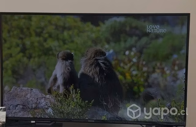 Smart tv samsung 43