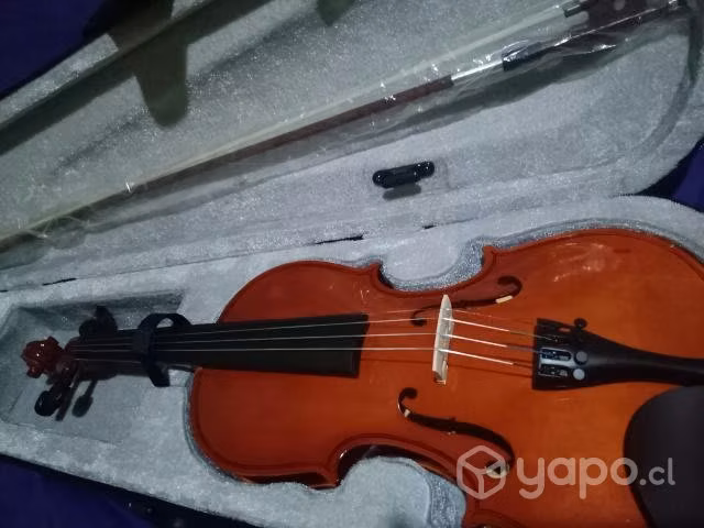 Violín