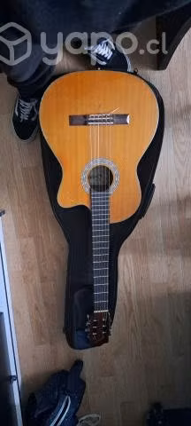 Guitarra - Imagen 3