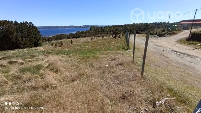 Terreno en Chiloé (Sector Oqueldán - Quellón) - Imagen 10