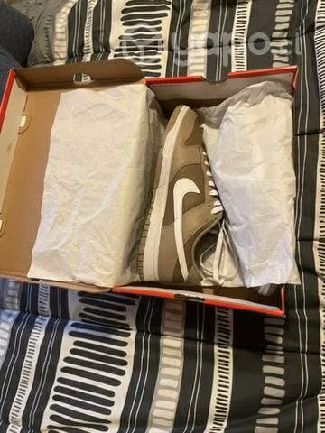 Zapatilla Nike Sb Dunk Low Retro
