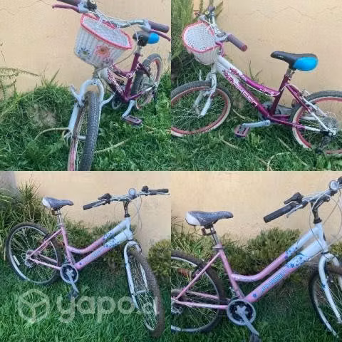 2 bicicletas de mujer y niña