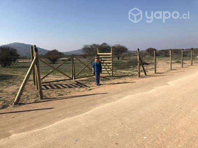 Parcela 5.000 mtrs2 Marchihue - Imagen 2