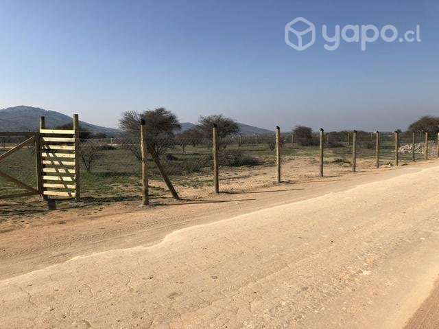 Parcela 5.000 mtrs2 Marchihue - Imagen 5