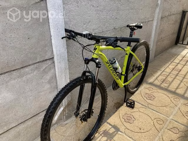 Specialized aro 29